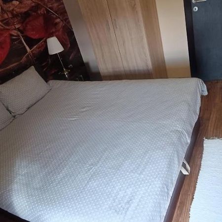 Apartment Vila Sandra Zlatibor Luaran gambar